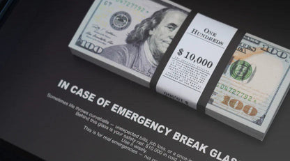 EMERGENCY $100 FRAME